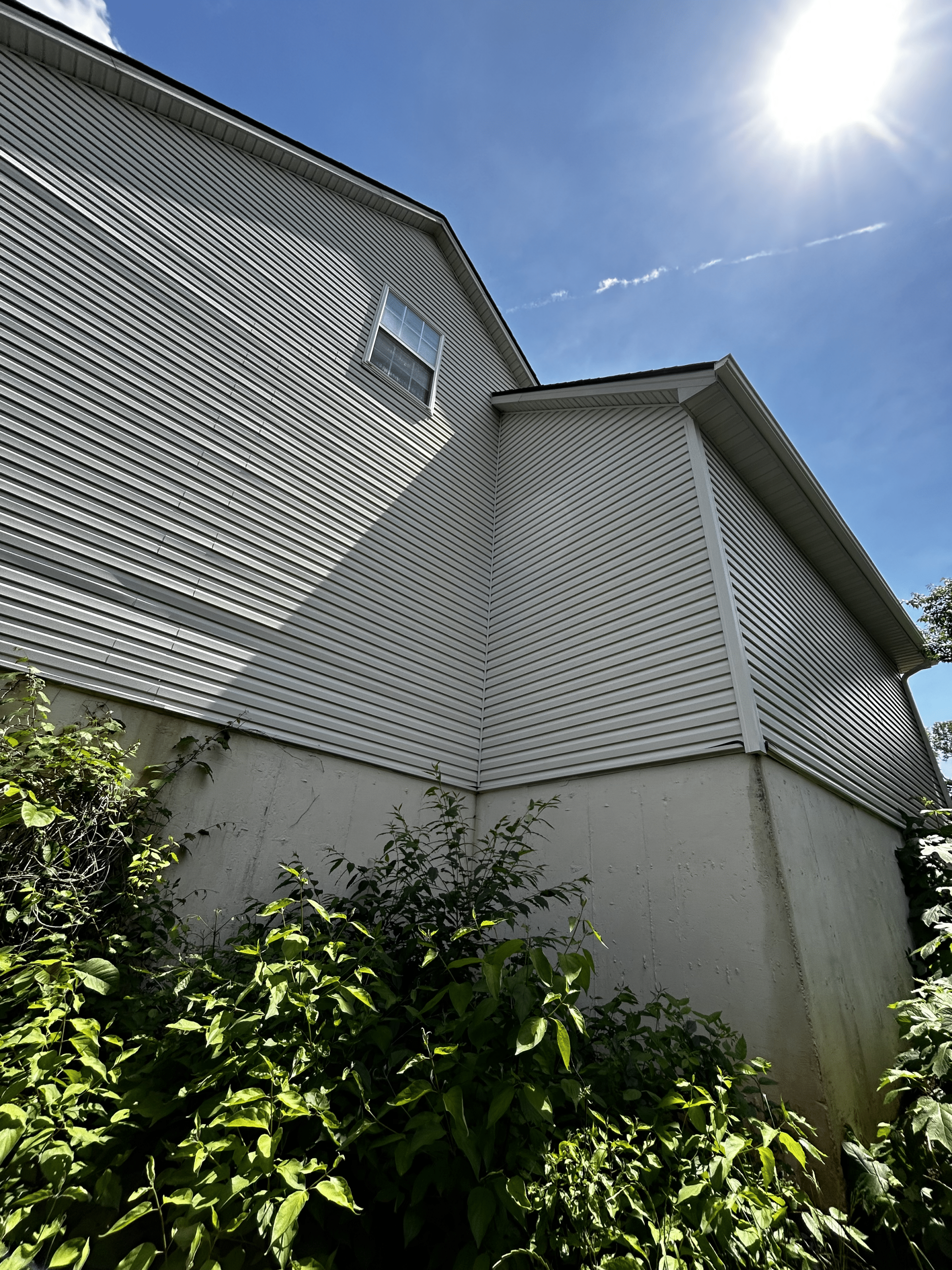 House Washing Company