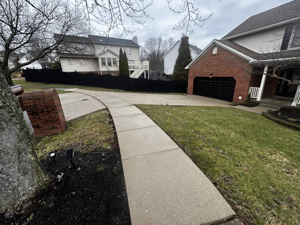Sidewalk Cleaning after